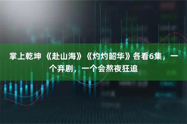 掌上乾坤 《赴山海》《灼灼韶华》各看6集，一个弃剧，一个会熬夜狂追