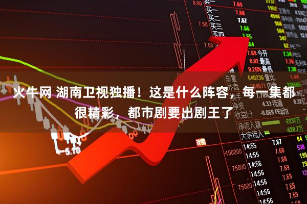 火牛网 湖南卫视独播！这是什么阵容，每一集都很精彩，都市剧要出剧王了