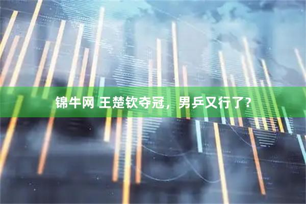 锦牛网 王楚钦夺冠，男乒又行了？