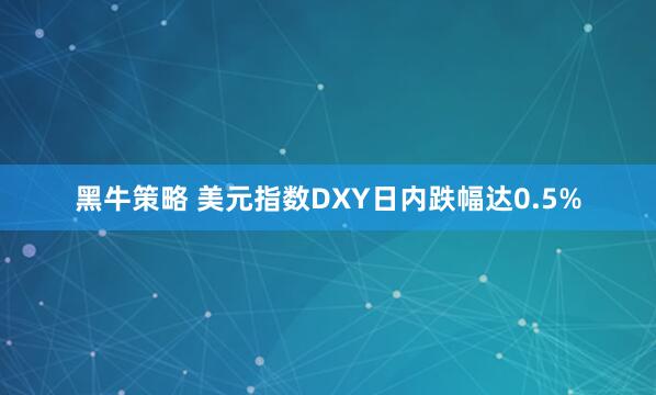 黑牛策略 美元指数DXY日内跌幅达0.5%