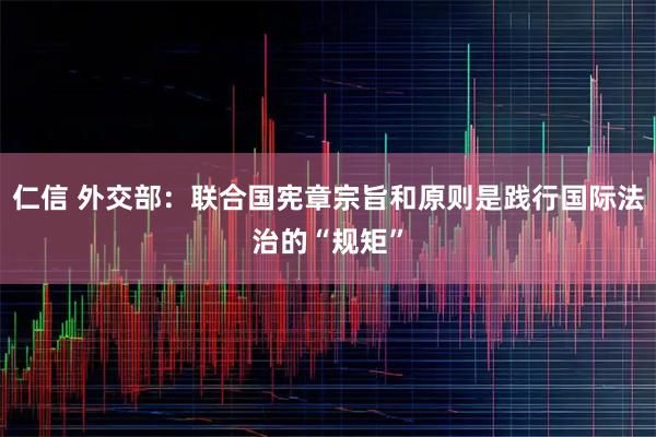 仁信 外交部：联合国宪章宗旨和原则是践行国际法治的“规矩”