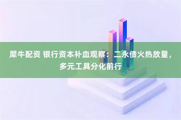 犀牛配资 银行资本补血观察：二永债火热放量，多元工具分化前行